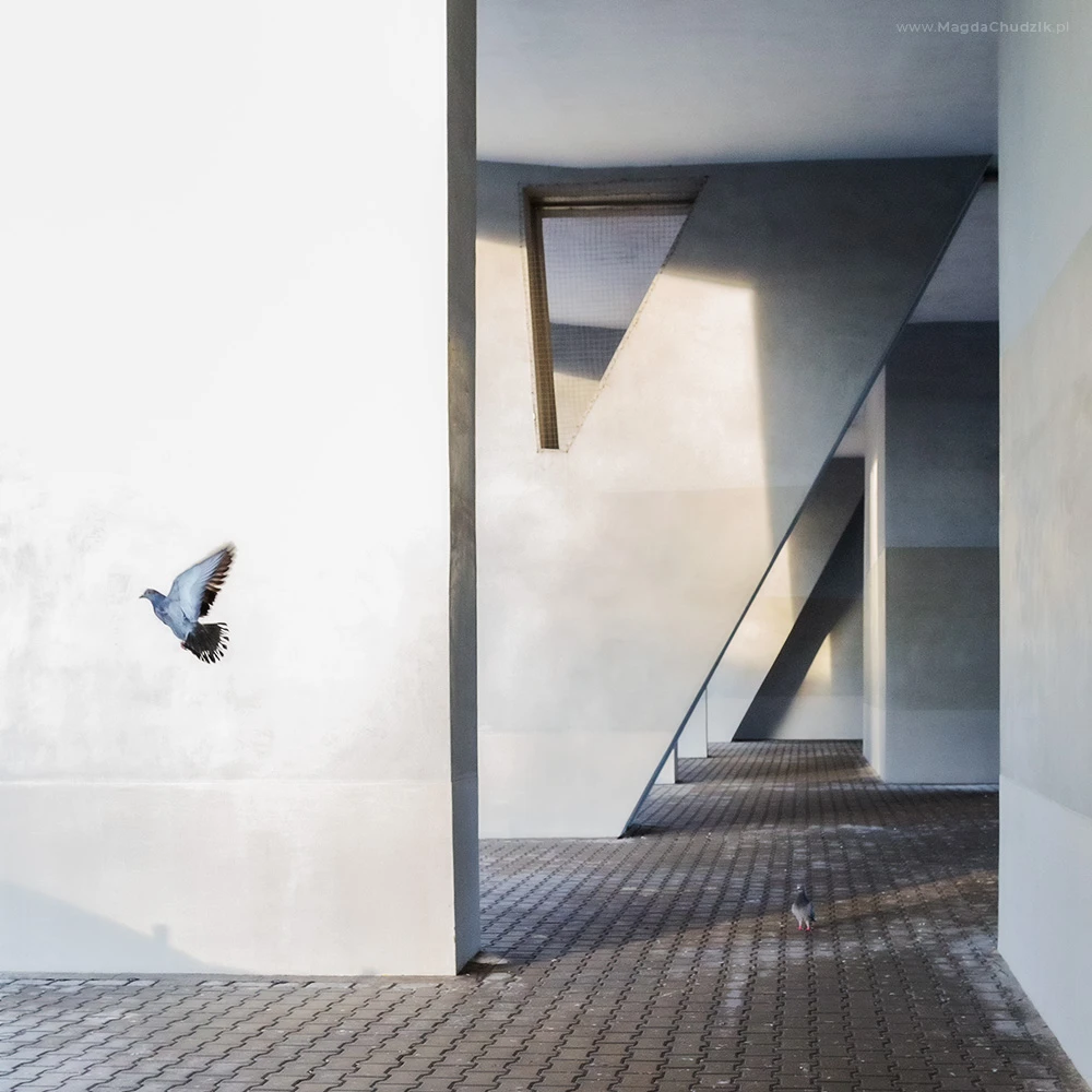 magda chudzik street photography urban photo architecture