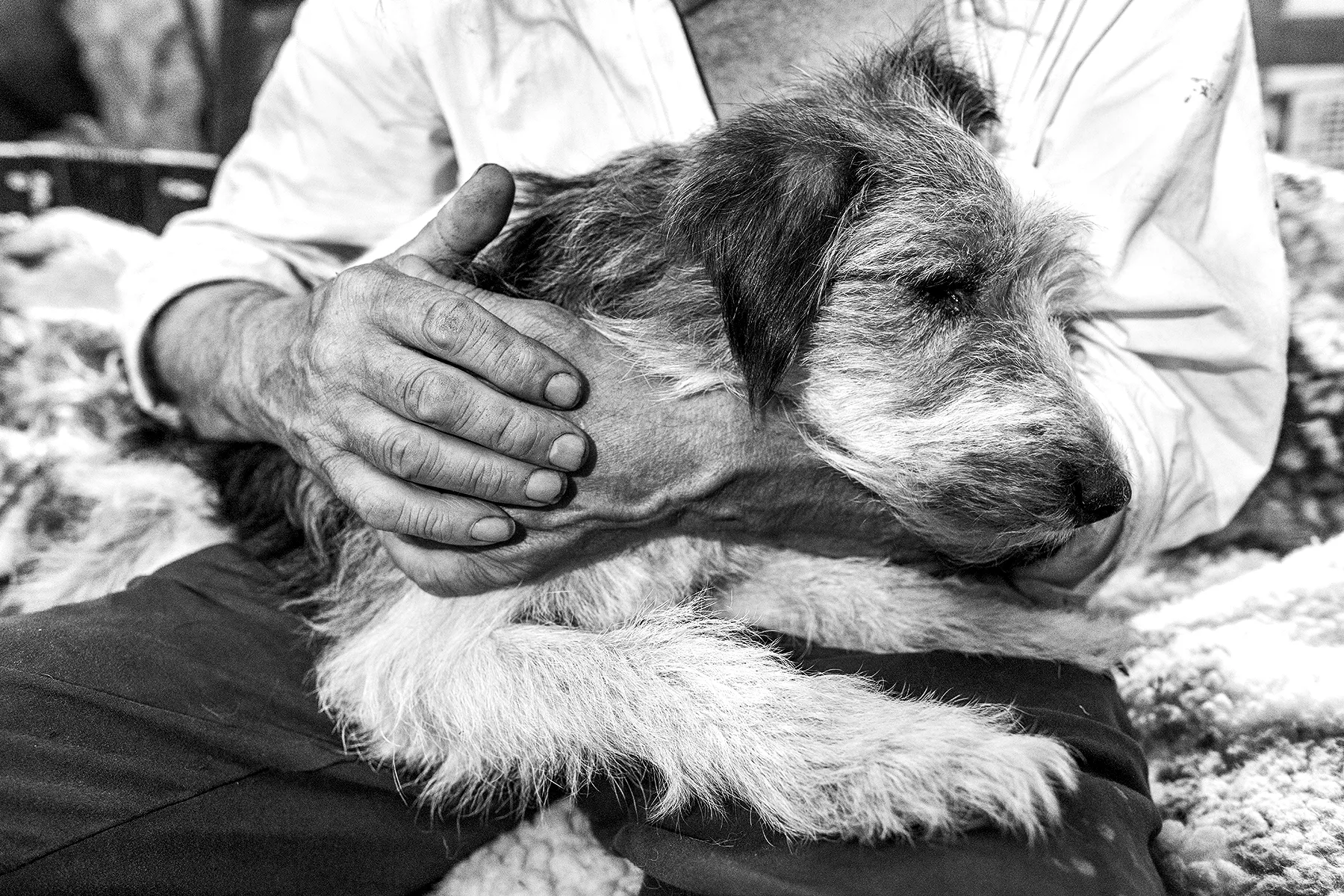magda chudzik documentary photography king of biebrza river