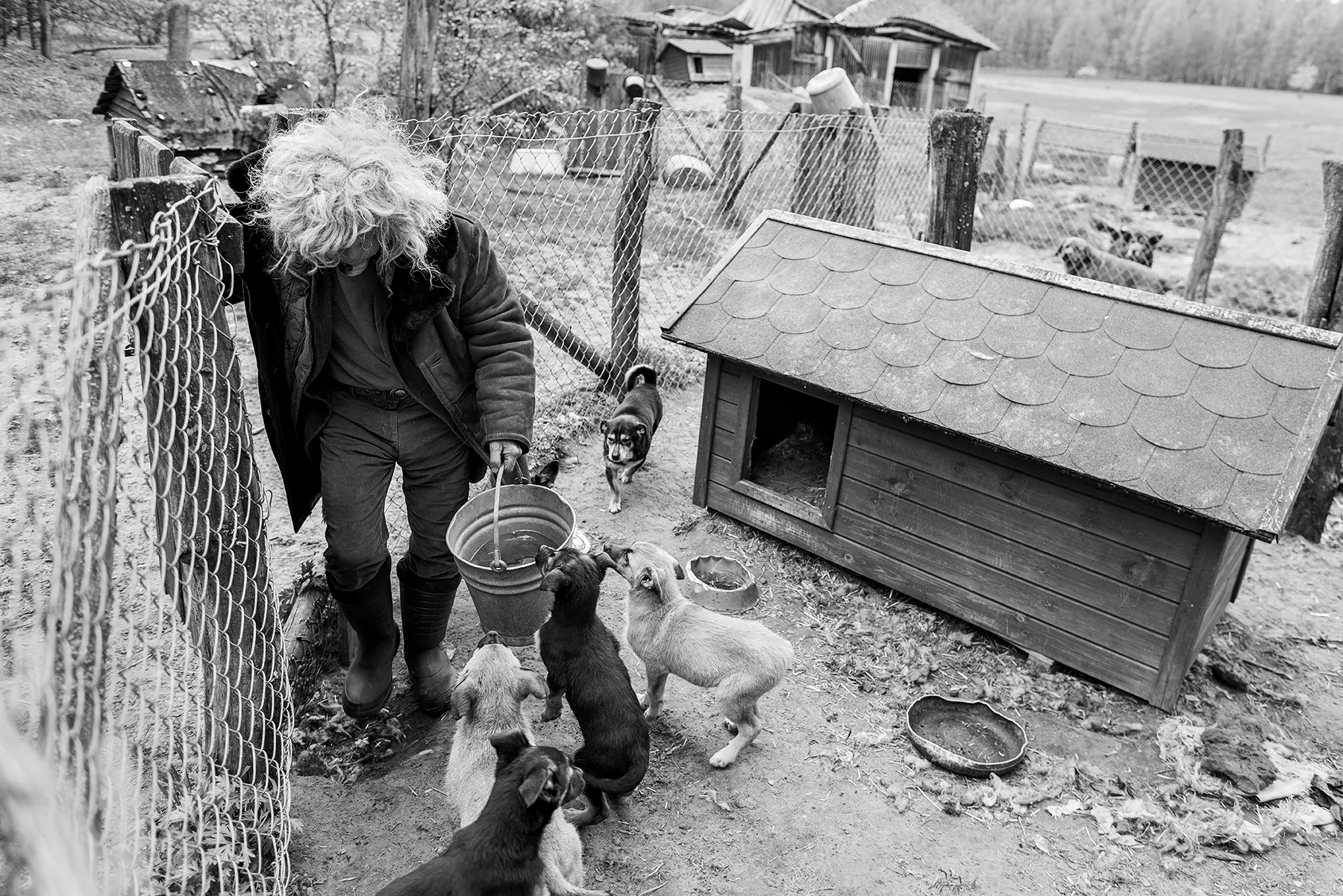magda chudzik documentary photography king of biebrza river